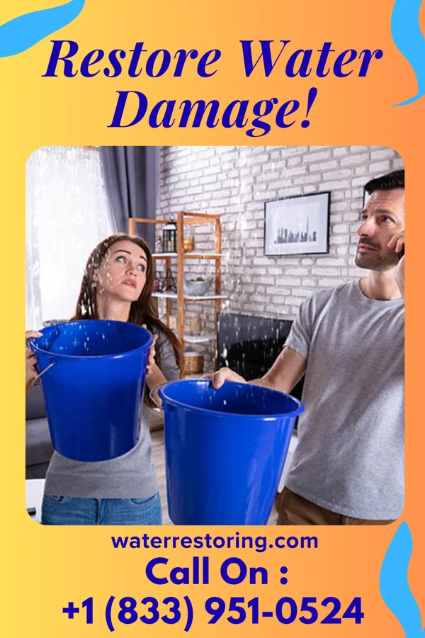 water restoration Expert Water Damage Partners Toms Brook