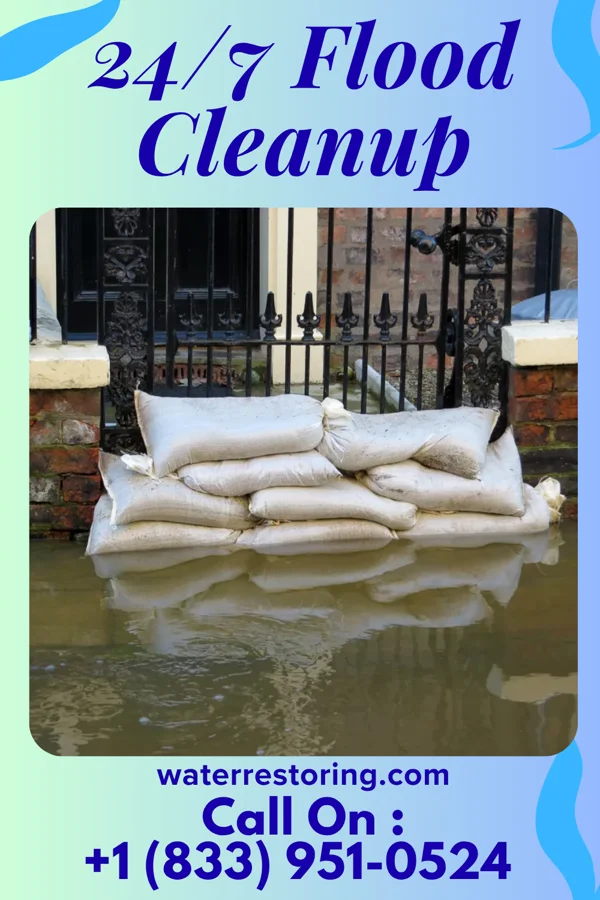 24/7 Flood Cleanup in Toms Brook, VA