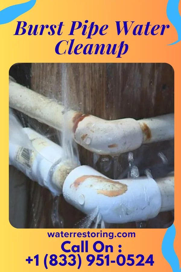 Burst Pipe Water Cleanup in Toms Brook, VA