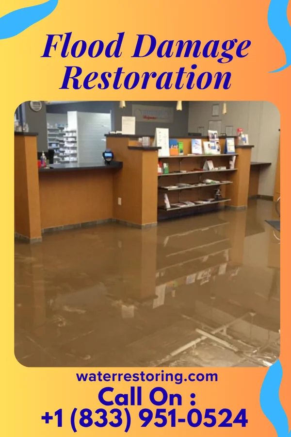Flood Damage Restoration in Toms Brook, VA