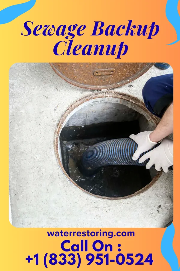Sewage Backup Cleanup in Toms Brook, VA