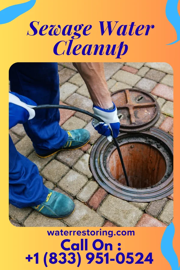 Sewage Water Cleanup in Toms Brook, VA